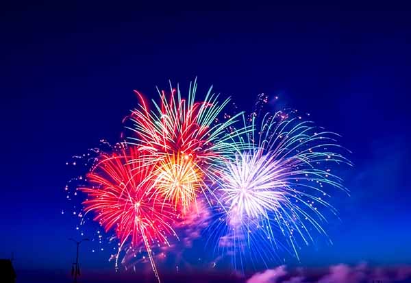 Happy New Year from Avanti!