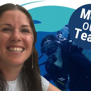 Meet our team – Elisabeth Clark