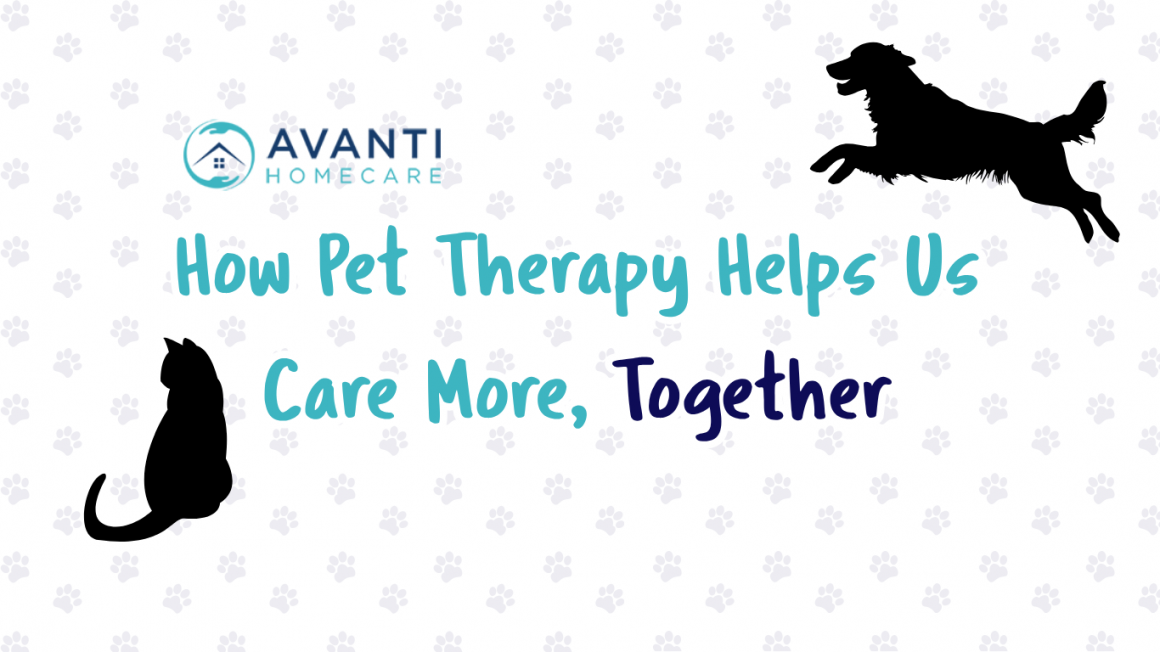 How Pet Therapy Helps Us Care More, Together