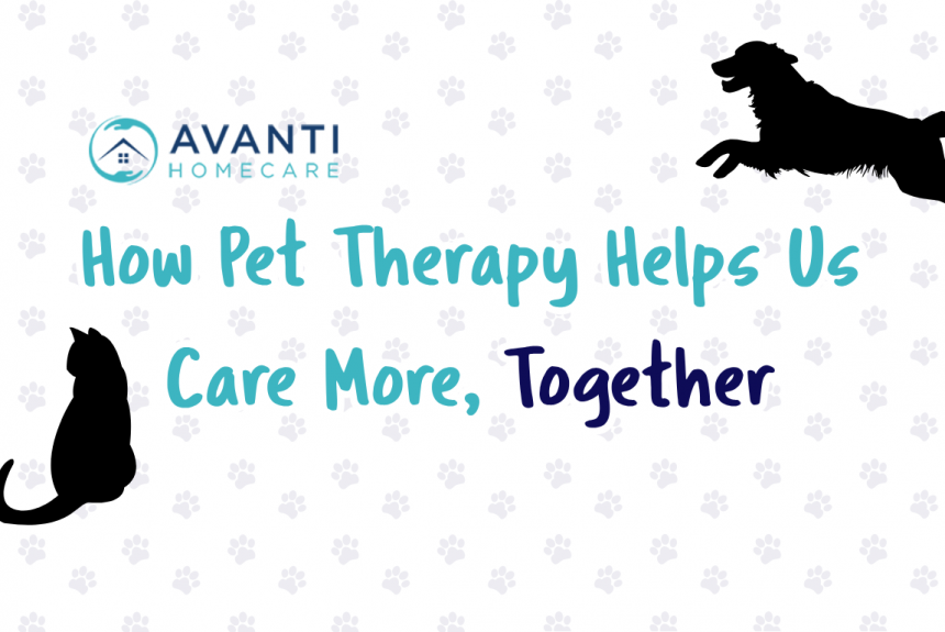 How Pet Therapy Helps Us Care More, Together